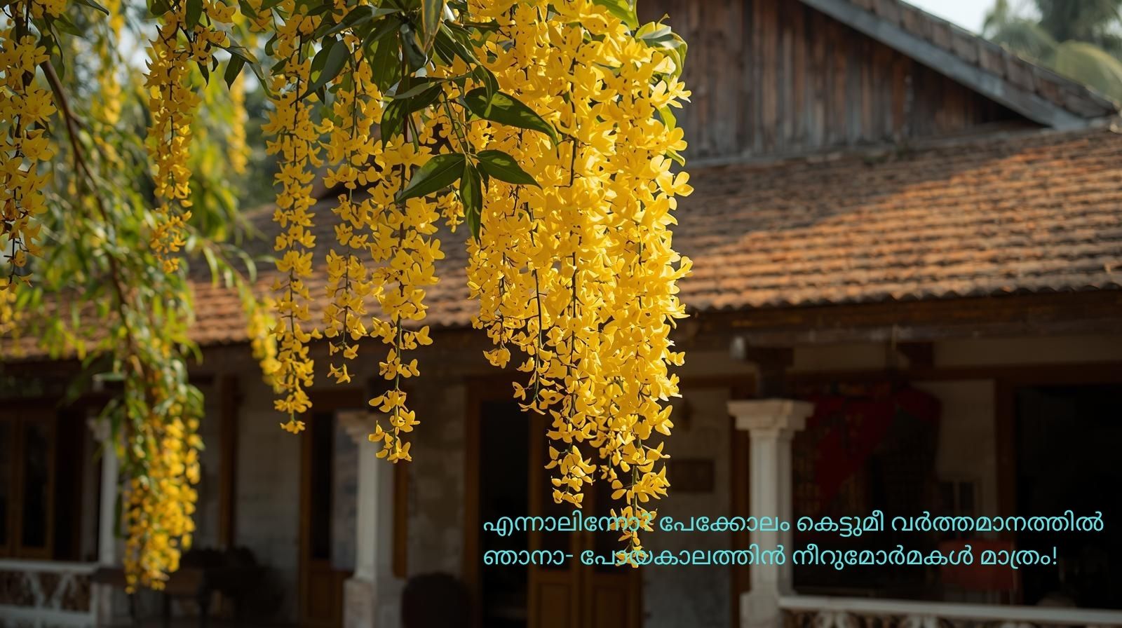 കണിക്കൊന്നയുടെ ദുഃഖം